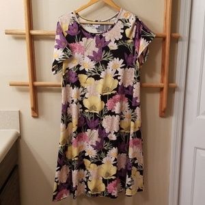 EUC Jessie LulaRoe XL